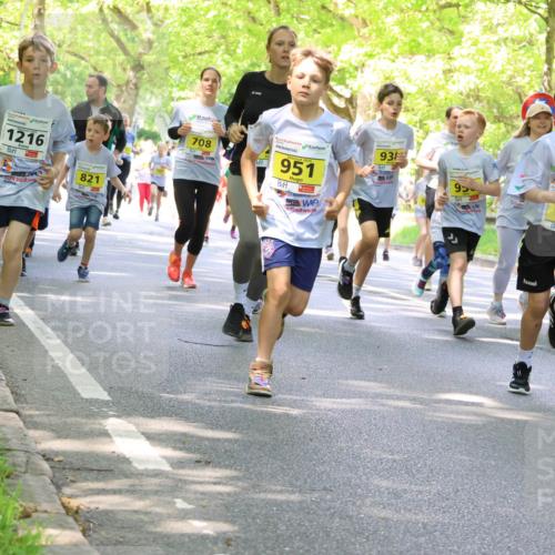 17.05.2025 - Störlauf Strokosch-Dieckow http://msf.ph/oto/7850491 17.05.2025 14:01:20 Laufen 746, 1216, 821, 708, 2025, 951, 932, 95, 960, 870 meine-sportfotos.de