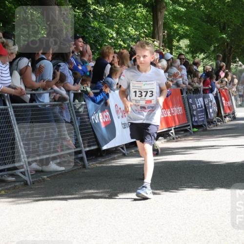 17.05.2025 - Störlauf Strokosch-Dieckow http://msf.ph/oto/7850505 17.05.2025 14:46:22 Ziel 1373, 1245, 1045, 124 meine-sportfotos.de
