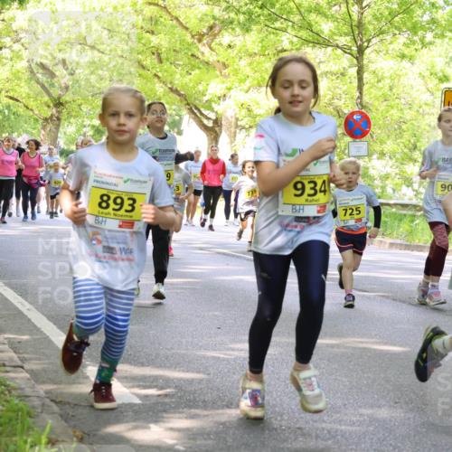 17.05.2025 - Störlauf Strokosch-Dieckow http://msf.ph/oto/7850524 17.05.2025 14:01:44 Laufen 910, 910, 2025, 893, 9, 2025, 934, 725, 90, 765 meine-sportfotos.de
