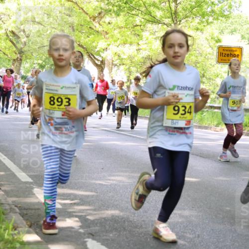 17.05.2025 - Störlauf Strokosch-Dieckow http://msf.ph/oto/7850529 17.05.2025 14:01:44 Laufen 916, 910, 2025, 893, 739, 738, 934, 907, 765 meine-sportfotos.de