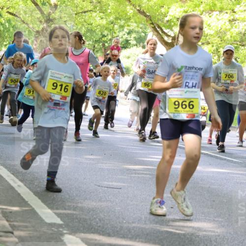 17.05.2025 - Störlauf Strokosch-Dieckow http://msf.ph/oto/7850542 17.05.2025 14:01:48 Laufen 724, 881, 723, 54, 904, 91, 916, 820, 956, 961, 966, 04, 706, 682, 812 meine-sportfotos.de
