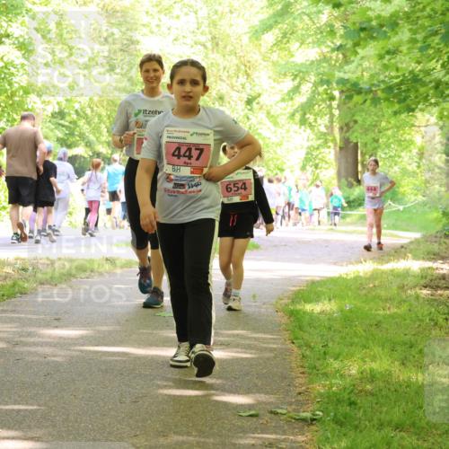 17.05.2025 - Störlauf Strokosch-Dieckow http://msf.ph/oto/7850605 17.05.2025 14:02:24 Laufen 2025, 447, 654, 444 meine-sportfotos.de