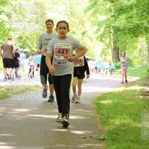 17.05.2025 - Störlauf Strokosch-Dieckow http://msf.ph/oto/7850607 17.05.2025 14:02:24 Laufen 2025, 447, 654, 444 meine-sportfotos.de