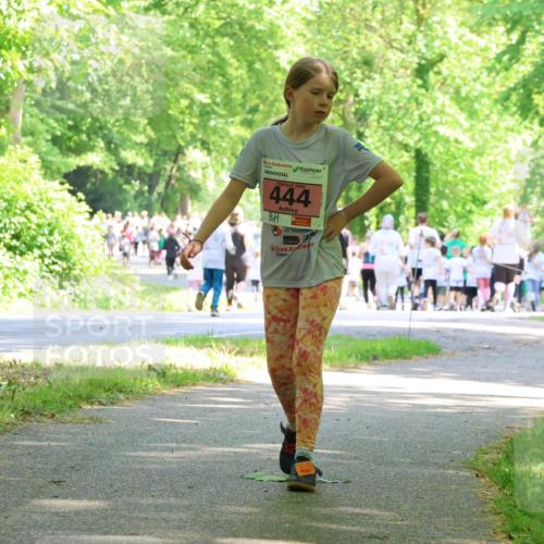 17.05.2025 - Störlauf Strokosch-Dieckow http://msf.ph/oto/7850623 17.05.2025 14:02:34 Laufen 2025, 444 meine-sportfotos.de