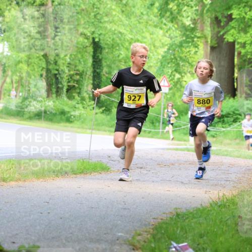 17.05.2025 - Störlauf Strokosch-Dieckow http://msf.ph/oto/7850651 17.05.2025 14:07:10 Laufen 927, 880 meine-sportfotos.de