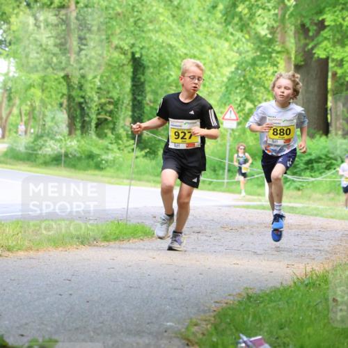 17.05.2025 - Störlauf Strokosch-Dieckow http://msf.ph/oto/7850653 17.05.2025 14:07:10 Laufen 927, 880 meine-sportfotos.de