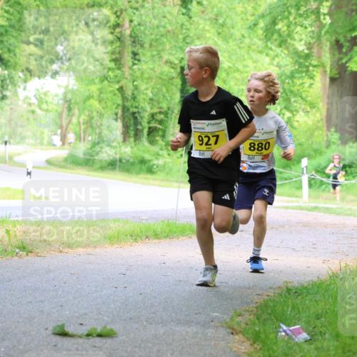 17.05.2025 - Störlauf Strokosch-Dieckow http://msf.ph/oto/7850655 17.05.2025 14:07:12 Laufen 927, 2025, 880 meine-sportfotos.de
