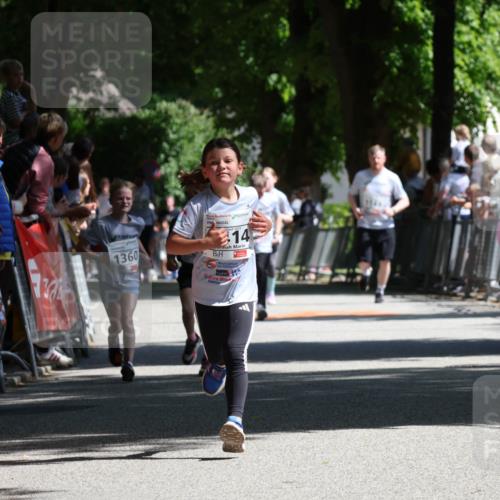 17.05.2025 - Störlauf Strokosch-Dieckow http://msf.ph/oto/7850663 17.05.2025 14:48:07 Ziel 7, 25524, 1360, 14 meine-sportfotos.de