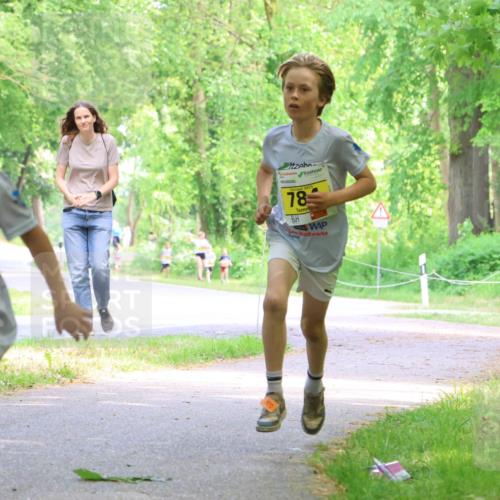 17.05.2025 - Störlauf Strokosch-Dieckow http://msf.ph/oto/7850703 17.05.2025 14:08:21 Laufen 807, 78, 785 meine-sportfotos.de