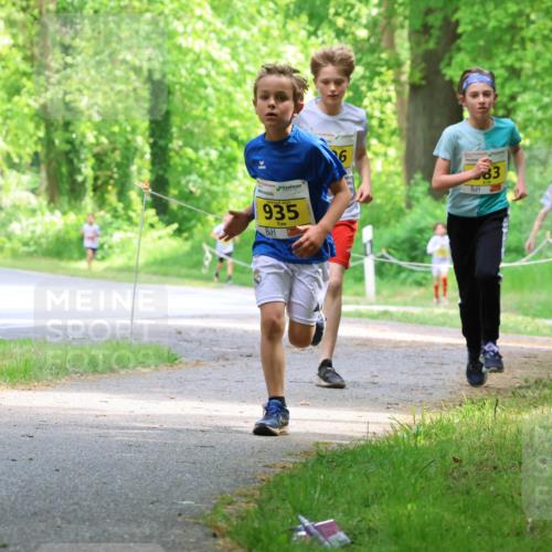 17.05.2025 - Störlauf Strokosch-Dieckow http://msf.ph/oto/7850708 17.05.2025 14:08:27 Laufen 2025, 935, 83, 789, 694 meine-sportfotos.de