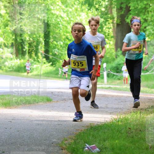 17.05.2025 - Störlauf Strokosch-Dieckow http://msf.ph/oto/7850711 17.05.2025 14:08:27 Laufen 935, 96, 789, 694 meine-sportfotos.de