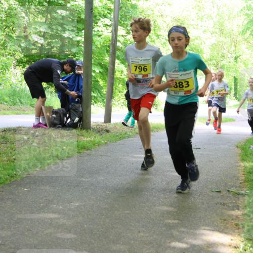 17.05.2025 - Störlauf Strokosch-Dieckow http://msf.ph/oto/7850719 17.05.2025 14:08:32 Laufen 796, 2023, 383, 72, 773 meine-sportfotos.de