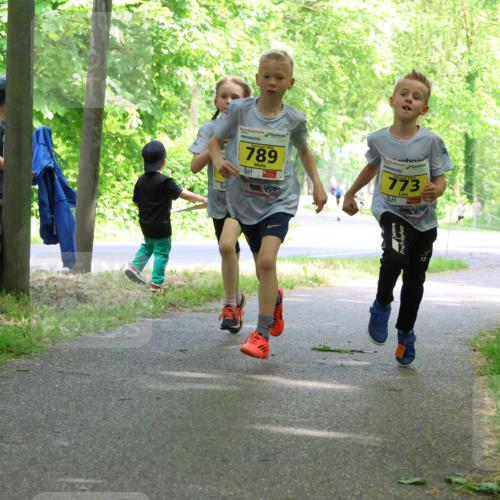 17.05.2025 - Störlauf Strokosch-Dieckow http://msf.ph/oto/7850729 17.05.2025 14:08:34 Laufen 789, 773 meine-sportfotos.de