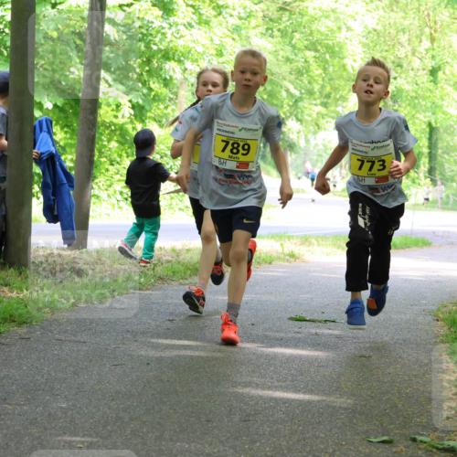 17.05.2025 - Störlauf Strokosch-Dieckow http://msf.ph/oto/7850731 17.05.2025 14:08:34 Laufen 789, 773 meine-sportfotos.de