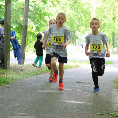 17.05.2025 - Störlauf Strokosch-Dieckow http://msf.ph/oto/7850735 17.05.2025 14:08:34 Laufen 6, 2025, 789, 2025, 773 meine-sportfotos.de