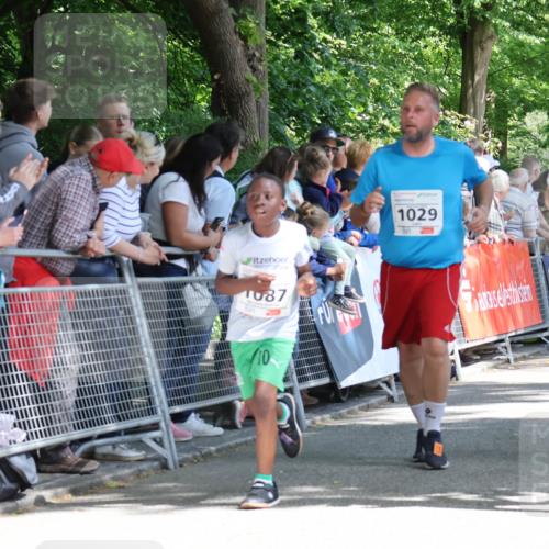 17.05.2025 - Störlauf Strokosch-Dieckow http://msf.ph/oto/7850746 17.05.2025 14:48:44 Ziel 1087, 10, 1029, 1157 meine-sportfotos.de