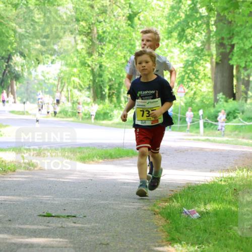 17.05.2025 - Störlauf Strokosch-Dieckow http://msf.ph/oto/7850759 17.05.2025 14:08:52 Laufen 2025, 73, 570 meine-sportfotos.de