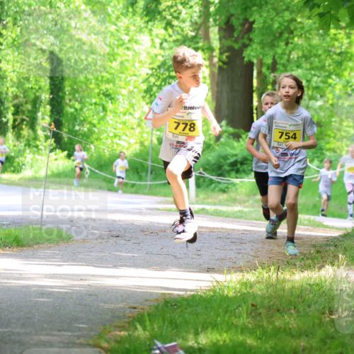17.05.2025 - Störlauf Strokosch-Dieckow http://msf.ph/oto/7850776 17.05.2025 14:08:58 Laufen 570, 778, 754 meine-sportfotos.de