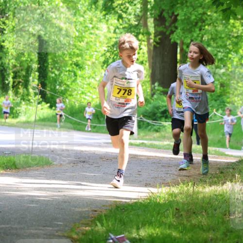 17.05.2025 - Störlauf Strokosch-Dieckow http://msf.ph/oto/7850780 17.05.2025 14:08:58 Laufen 70, 778 meine-sportfotos.de