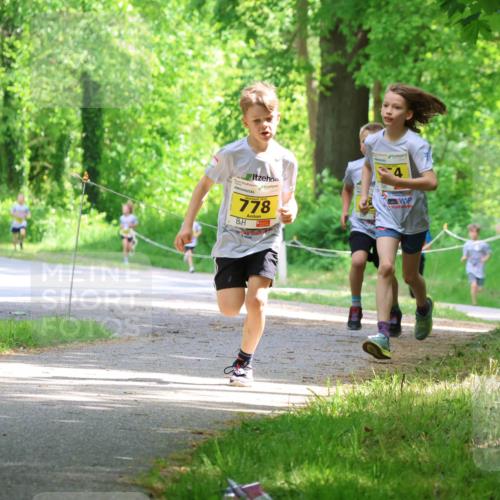 17.05.2025 - Störlauf Strokosch-Dieckow http://msf.ph/oto/7850782 17.05.2025 14:08:59 Laufen 70, 778 meine-sportfotos.de