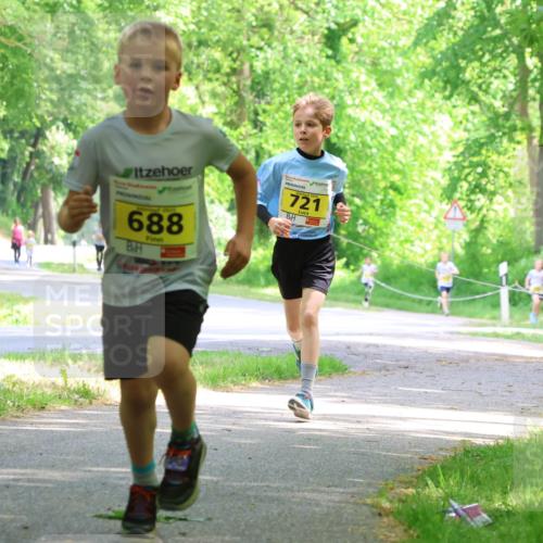 17.05.2025 - Störlauf Strokosch-Dieckow http://msf.ph/oto/7850790 17.05.2025 14:09:04 Laufen 688, 721 meine-sportfotos.de