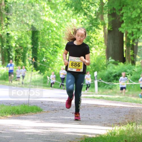 17.05.2025 - Störlauf Strokosch-Dieckow http://msf.ph/oto/7850800 17.05.2025 14:09:08 Laufen 886, 800 meine-sportfotos.de