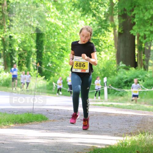 17.05.2025 - Störlauf Strokosch-Dieckow http://msf.ph/oto/7850801 17.05.2025 14:09:08 Laufen 2025, 886, 800 meine-sportfotos.de