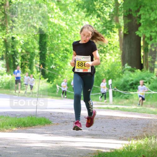 17.05.2025 - Störlauf Strokosch-Dieckow http://msf.ph/oto/7850803 17.05.2025 14:09:08 Laufen 886, 800 meine-sportfotos.de