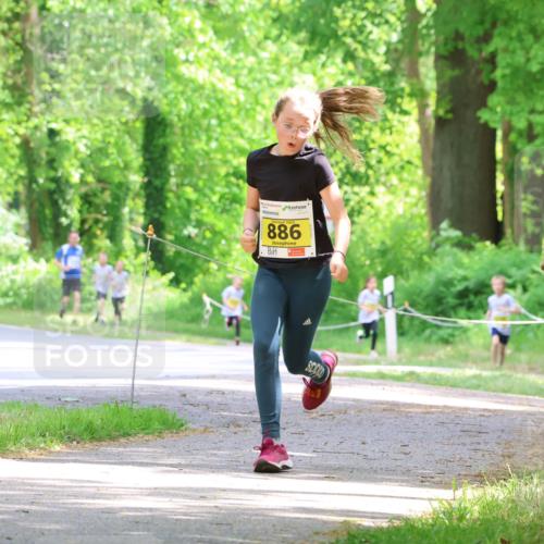 17.05.2025 - Störlauf Strokosch-Dieckow http://msf.ph/oto/7850805 17.05.2025 14:09:08 Laufen 886, 800 meine-sportfotos.de
