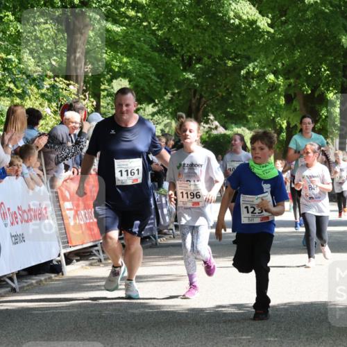 17.05.2025 - Störlauf Strokosch-Dieckow http://msf.ph/oto/7850806 17.05.2025 14:49:28 Ziel 1161, 10, 1196, 123 meine-sportfotos.de