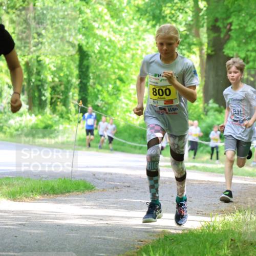 17.05.2025 - Störlauf Strokosch-Dieckow http://msf.ph/oto/7850813 17.05.2025 14:09:10 Laufen 2025, 886, 2021, 800, 8 meine-sportfotos.de