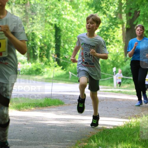 17.05.2025 - Störlauf Strokosch-Dieckow http://msf.ph/oto/7850817 17.05.2025 14:09:12 Laufen 800 meine-sportfotos.de