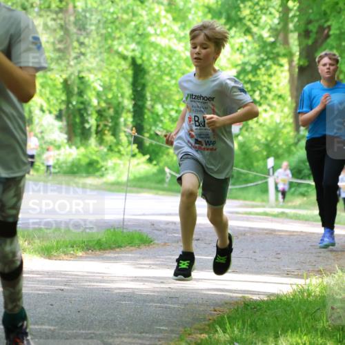 17.05.2025 - Störlauf Strokosch-Dieckow http://msf.ph/oto/7850820 17.05.2025 14:09:12 Laufen 800 meine-sportfotos.de