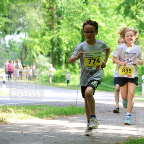 17.05.2025 - Störlauf Strokosch-Dieckow http://msf.ph/oto/7850827 17.05.2025 14:09:24 Laufen 2025, 774, 895 meine-sportfotos.de