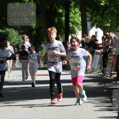 17.05.2025 - Störlauf Strokosch-Dieckow http://msf.ph/oto/7850828 17.05.2025 14:49:35 Ziel 1389, 1082, 1305, 1189 meine-sportfotos.de