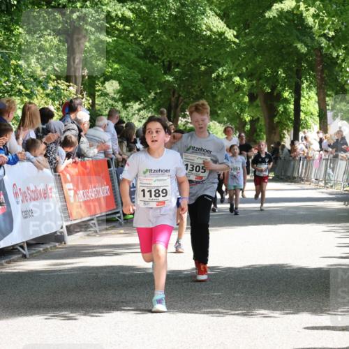 17.05.2025 - Störlauf Strokosch-Dieckow http://msf.ph/oto/7850832 17.05.2025 14:49:38 Ziel 1189, 1305, 1082 meine-sportfotos.de