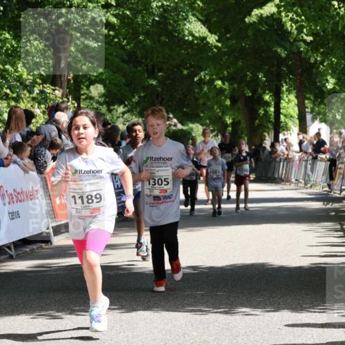 17.05.2025 - Störlauf Strokosch-Dieckow http://msf.ph/oto/7850834 17.05.2025 14:49:39 Ziel 1189, 1305, 1590, 1082 meine-sportfotos.de