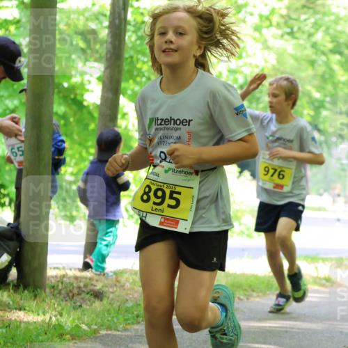 17.05.2025 - Störlauf Strokosch-Dieckow http://msf.ph/oto/7850840 17.05.2025 14:09:28 Laufen 65, 2025, 895, 976 meine-sportfotos.de