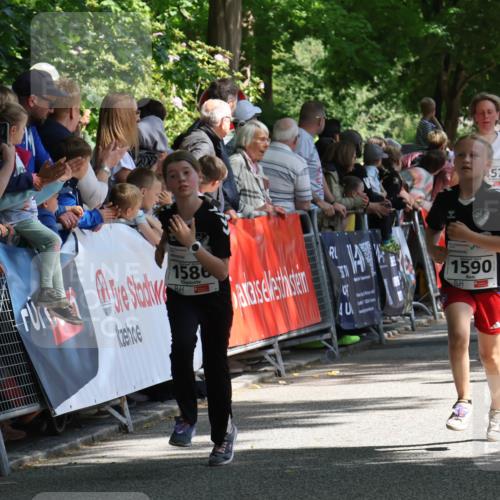 17.05.2025 - Störlauf Strokosch-Dieckow http://msf.ph/oto/7850843 17.05.2025 14:49:43 Ziel 1586, 57, 1590, 1082, 136 meine-sportfotos.de