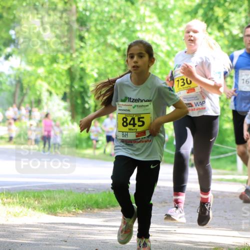 17.05.2025 - Störlauf Strokosch-Dieckow http://msf.ph/oto/7850852 17.05.2025 14:09:33 Laufen 2025, 845, 730, 1610, 691 meine-sportfotos.de