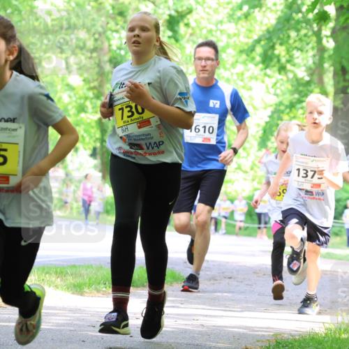 17.05.2025 - Störlauf Strokosch-Dieckow http://msf.ph/oto/7850860 17.05.2025 14:09:34 Laufen 2925, 845, 730, 25, 1610, 137, 1374 meine-sportfotos.de