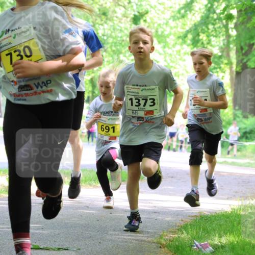 17.05.2025 - Störlauf Strokosch-Dieckow http://msf.ph/oto/7850862 17.05.2025 14:09:36 Laufen 2025, 730, 2, 691, 2025, 1373 meine-sportfotos.de