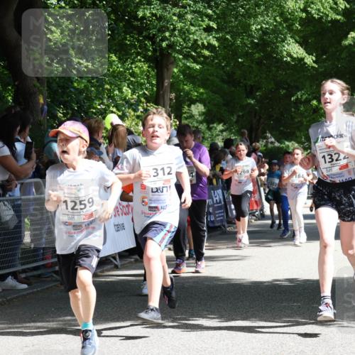 17.05.2025 - Störlauf Strokosch-Dieckow http://msf.ph/oto/7850876 17.05.2025 14:50:17 Ziel 312, 298, 1302, 184, 1322, 1473, 1259, 2274, 40 meine-sportfotos.de