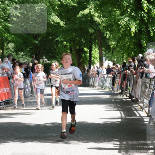 17.05.2025 - Störlauf Strokosch-Dieckow http://msf.ph/oto/7850889 17.05.2025 14:50:21 Ziel 127, 149, 124, 1236 meine-sportfotos.de