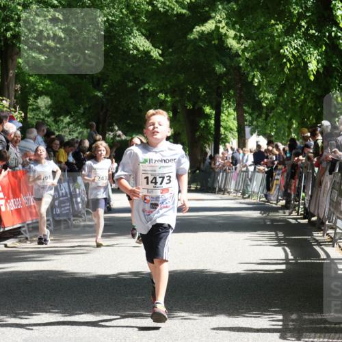 17.05.2025 - Störlauf Strokosch-Dieckow http://msf.ph/oto/7850891 17.05.2025 14:50:21 Ziel 78, 191, 243, 2025, 1473 meine-sportfotos.de