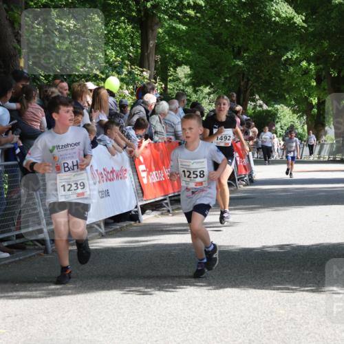 17.05.2025 - Störlauf Strokosch-Dieckow http://msf.ph/oto/7850904 17.05.2025 14:50:31 Ziel 1239, 1258, 1492 meine-sportfotos.de