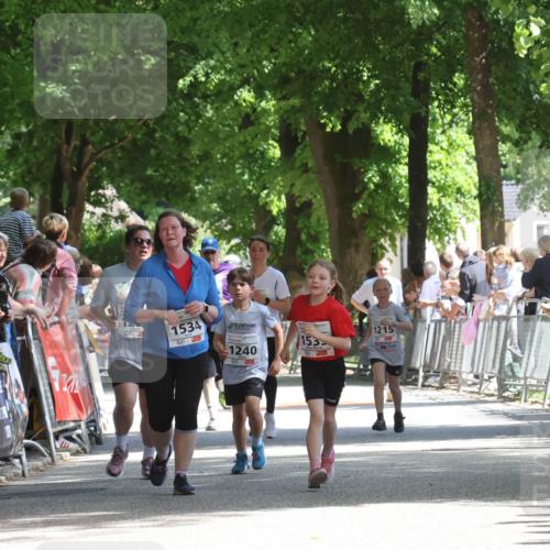 17.05.2025 - Störlauf Strokosch-Dieckow http://msf.ph/oto/7850933 17.05.2025 14:50:59 Ziel 2624, 1534, 1240, 153, 1215 meine-sportfotos.de