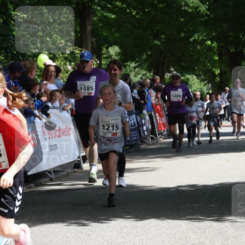 17.05.2025 - Störlauf Strokosch-Dieckow http://msf.ph/oto/7850941 17.05.2025 14:51:07 Ziel 1485, 2025, 1533, 1215, 1480, 385, 1657, 1064 meine-sportfotos.de
