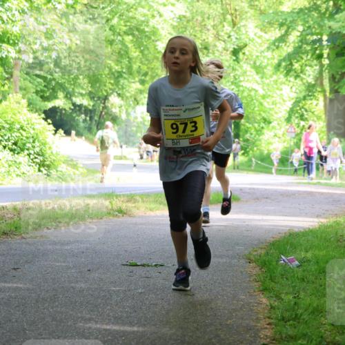 17.05.2025 - Störlauf Strokosch-Dieckow http://msf.ph/oto/7850954 17.05.2025 14:10:13 Laufen 2025, 973 meine-sportfotos.de