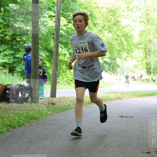 17.05.2025 - Störlauf Strokosch-Dieckow http://msf.ph/oto/7850960 17.05.2025 14:10:16 Laufen 2025, 1216, 25 meine-sportfotos.de